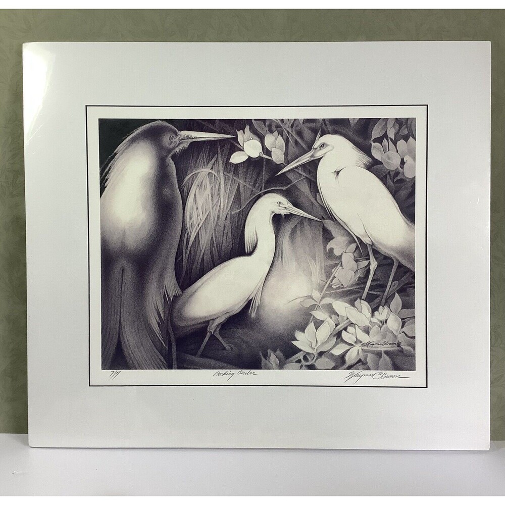 Wayman C Brown Pencil Sketch White Heron ‘Pecking Order’ 19x22 Signed &‎ Matted